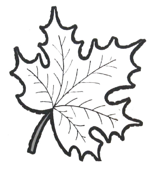Листья раскраска