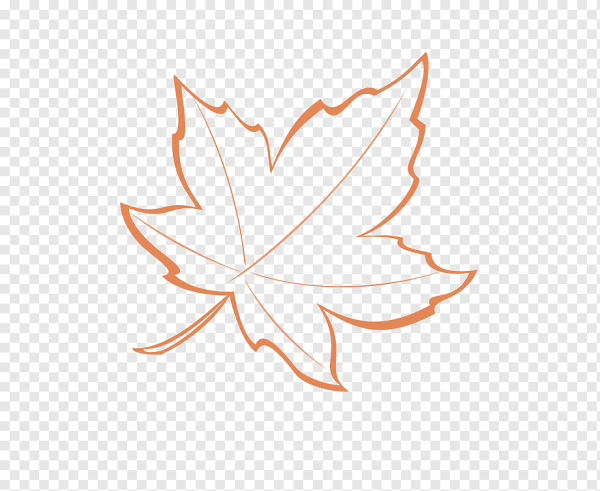Контур листьев клена