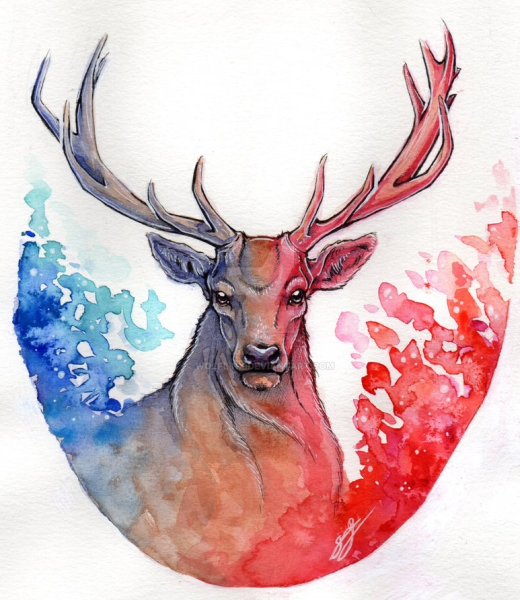 Олень рисовка