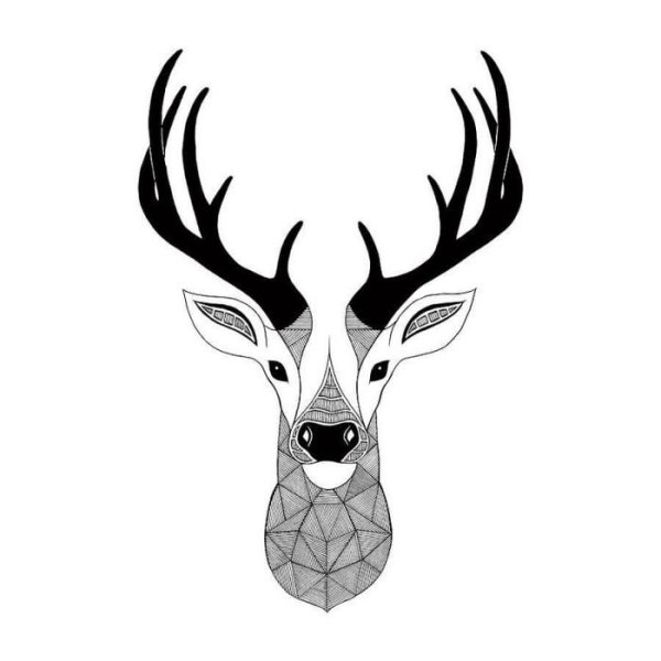 Олень рисунок