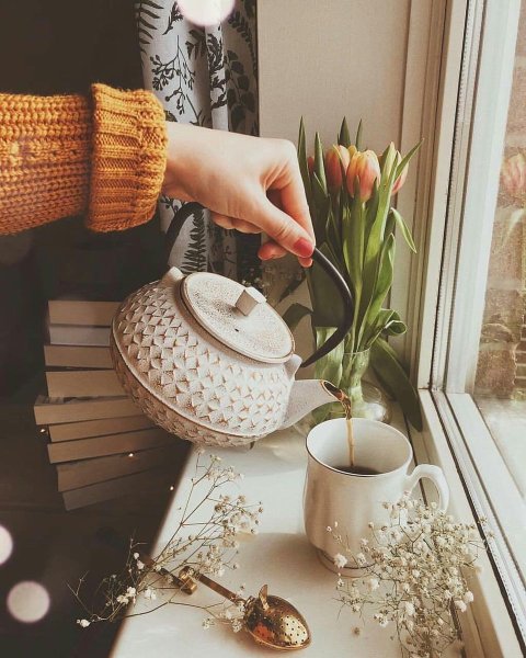 Красота мести