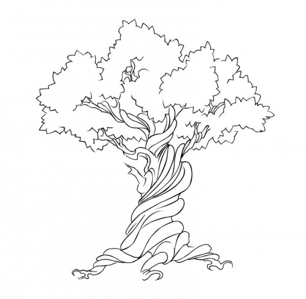 Баньян дерево Sketch