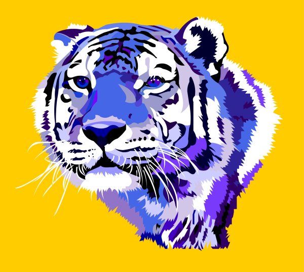 Векторная Графика