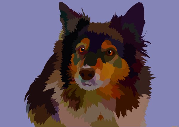 Растровые картины