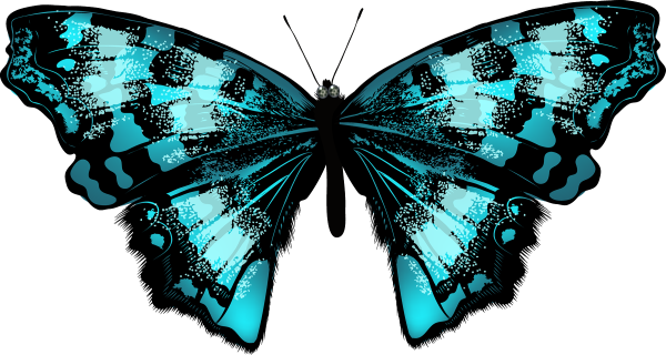 Бабочки на белом фоне