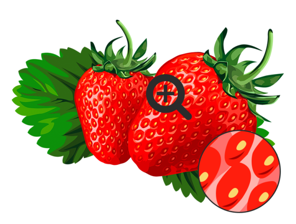 Растровые картинки