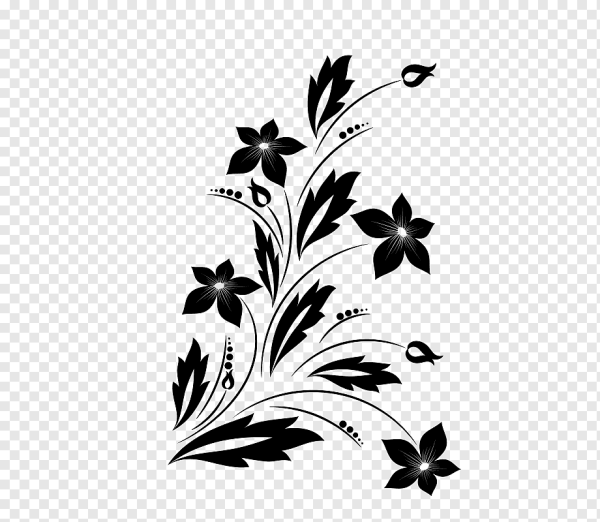 Изображения в coreldraw