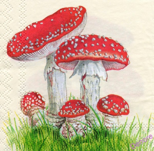 Рисование мухомор