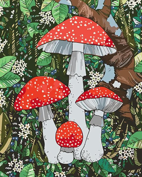 «Грибы для белки» (Комарова, с.36)