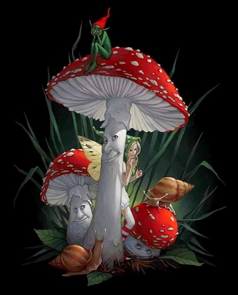 Мухомор для детей