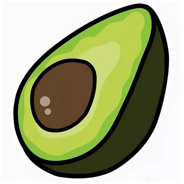 Авокадо для срисовки