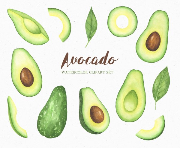 Принты с авокадо