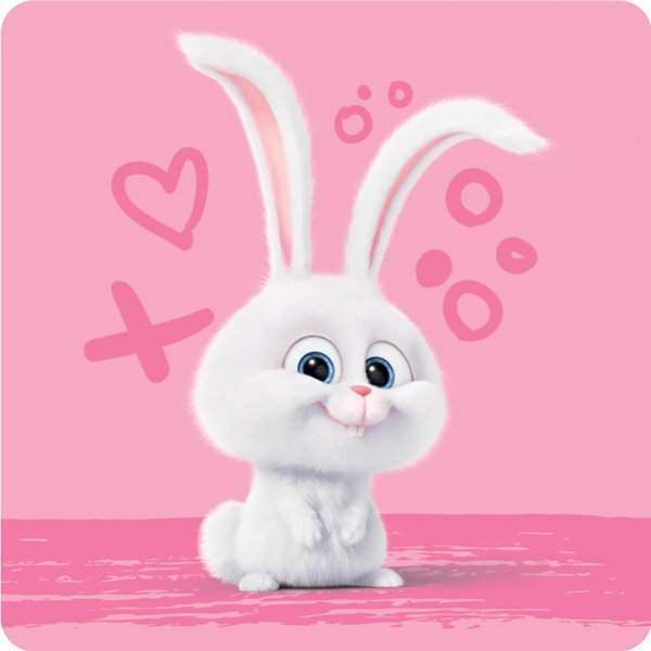 Тайная жизнь домашних животных зайчик