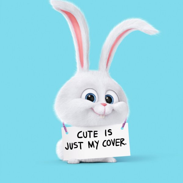 Веселый зайчик