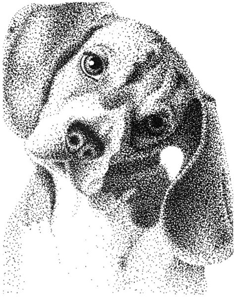 Вышивка по точкам