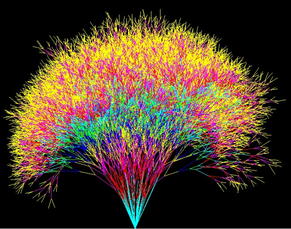 Черепашка Пайтон