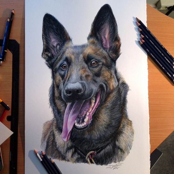 Художник Dino Tomic