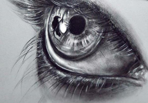 Живопись карандашом