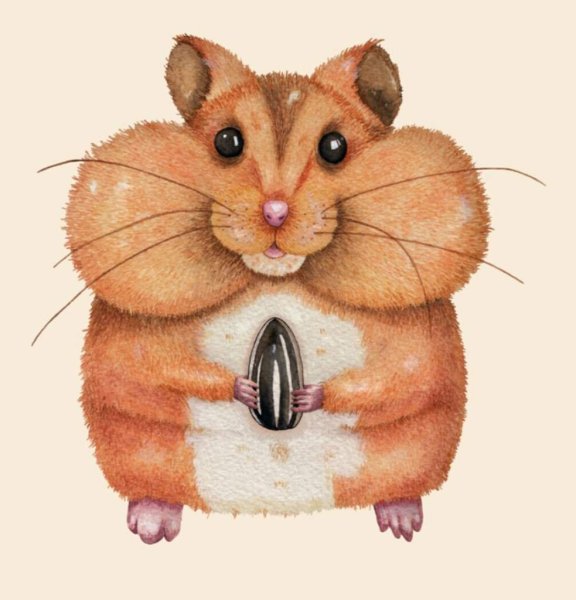 Хомяк мультяшный