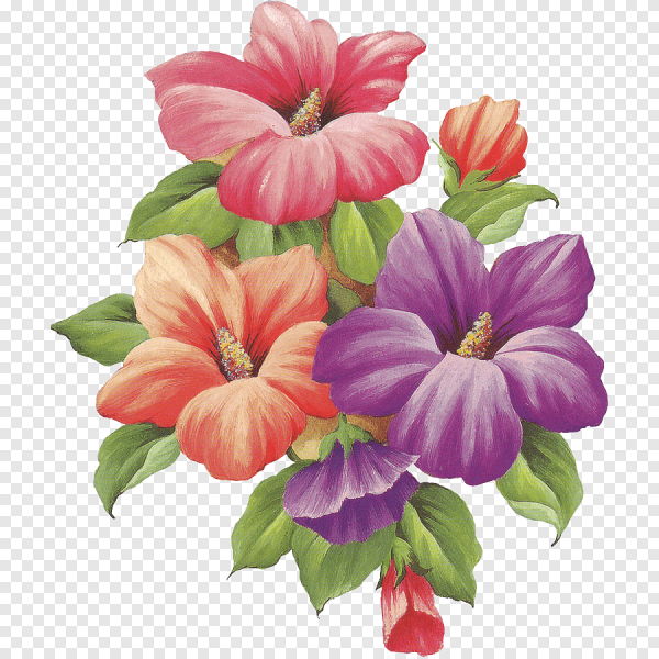 Рисунки цветов цветные