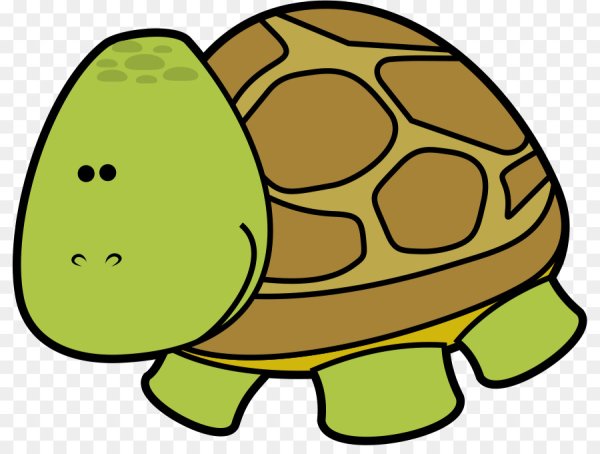 Черепаха для дошкольников