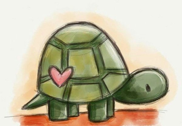 Милые Черепашки для срисовки