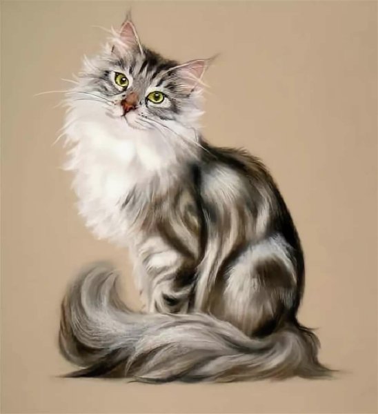 Кошка рисунок