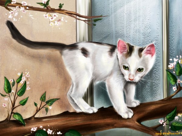Картина кот на ветке