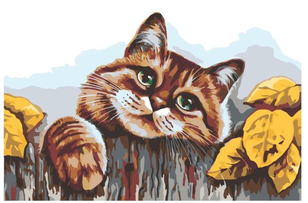 Кошка с красивыми глазами