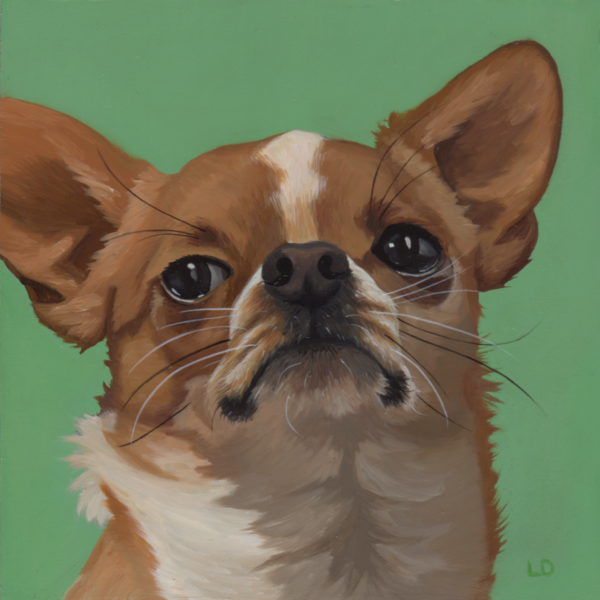 Щенок чихуахуа арт