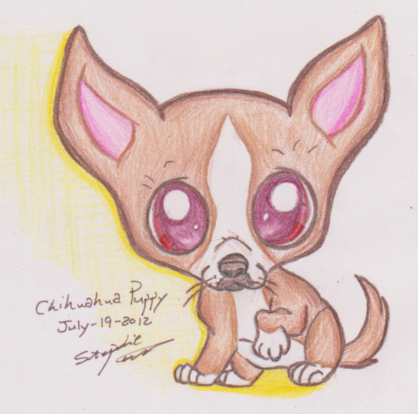 Чихуахуа для срисовки