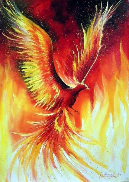 Феникс двухцветный