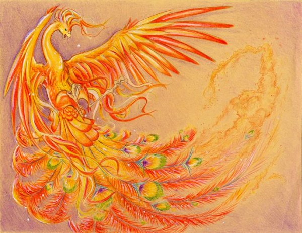 Огненная птица