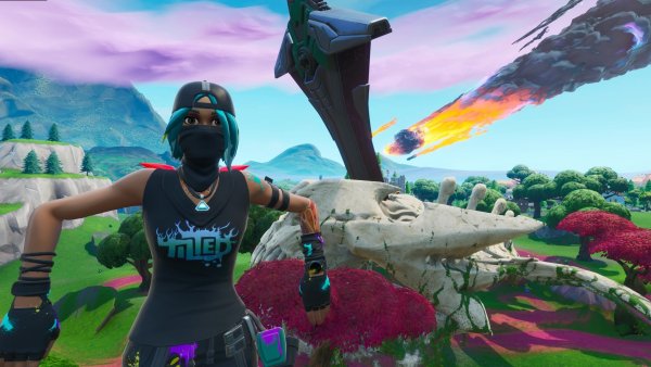 Standard Edition ФОРТНАЙТ