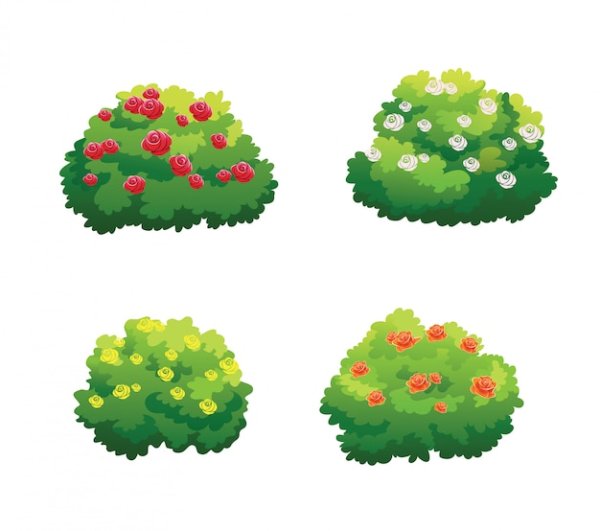 Декорации кустарники