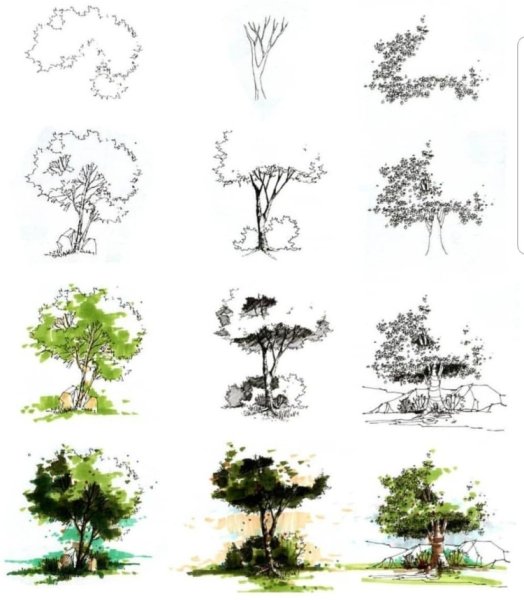 Дерево скетч