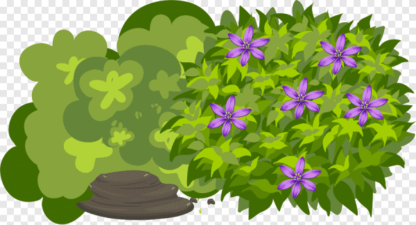 Куст вектор