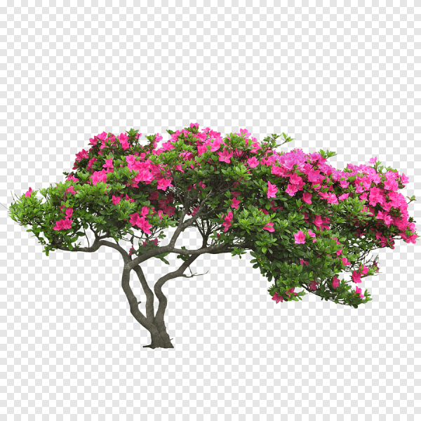 Кусты с цветами