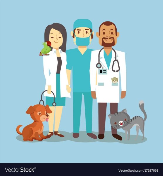 Ветеринар рисунок