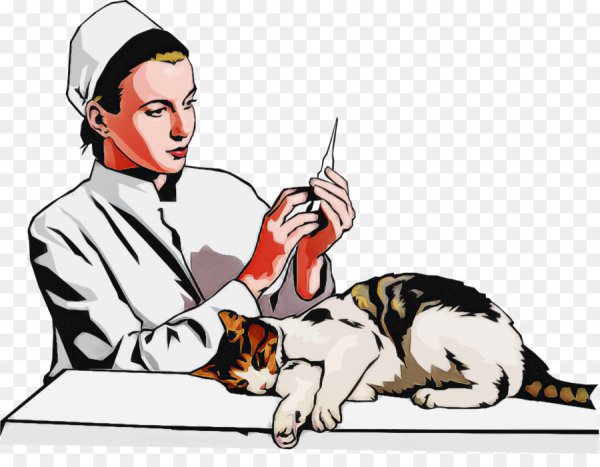 Ветеринар иллюстрация