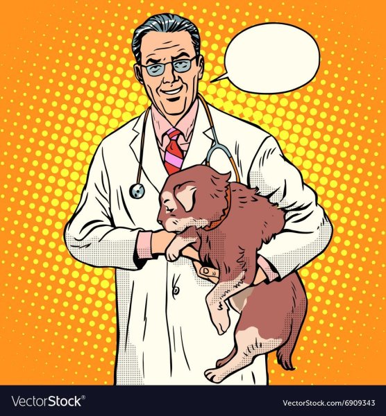 Ветеринар арт