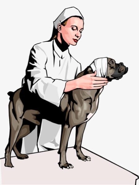 Рисунки на тему Ветеринария