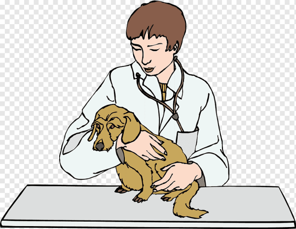 Нарисовать ветеринара