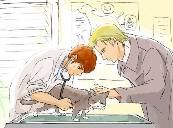 Аниме ветеринар