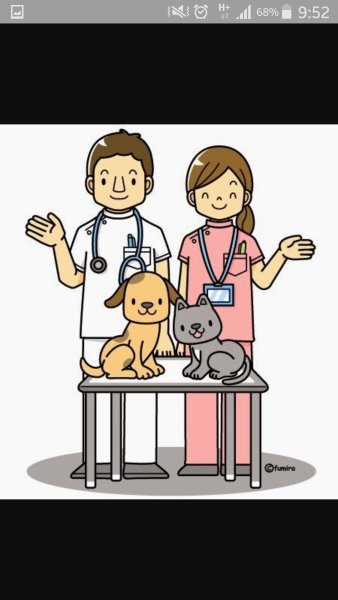 Картина ветеринар для детей