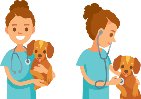 Vet картинка для детей