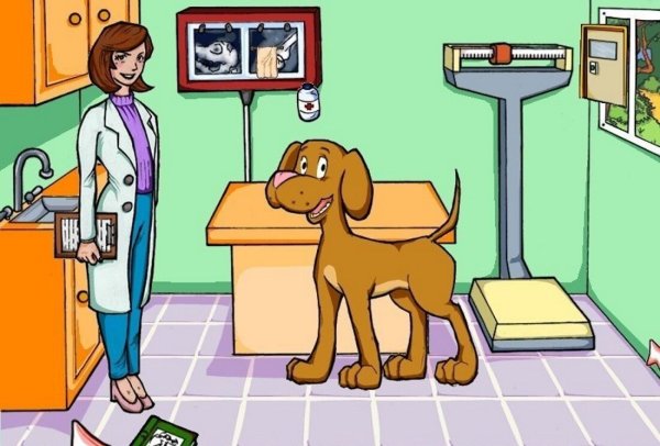 Профессия ветеринар