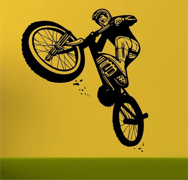 Extreme Freestyle BMX vector