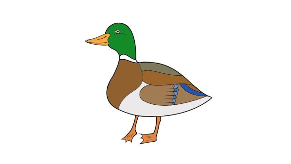 Рисунки утки для срисовки