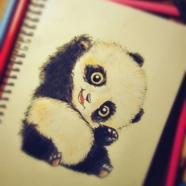 Милая Панда рисунок карандашом